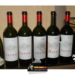 Vang Chile TABALI PAYEN bn3