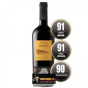 Vang Chile Montgras ANTU Cabernet Sauvignon bn1
