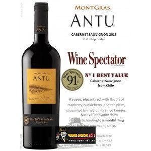 Vang Chile Montgras ANTU Cabernet Sauvignon bn2