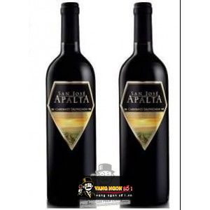 Vang Chile San Jose Apalta Trandition Cabernet Sauvignon bn2
