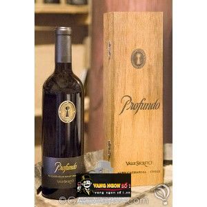 Vang Chile Profundo Valle Secreto bn2