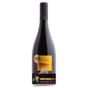 Vang Chile Montgras ANTU Syrah
