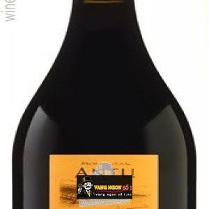 Vang Chile Montgras ANTU Syrah bn1