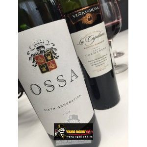 Vang Chile OSSA Icon wine bn1