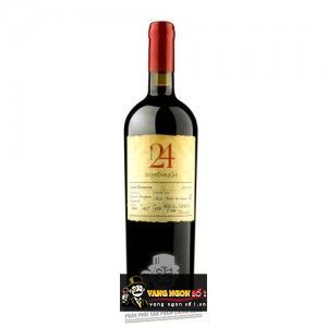 Vang Chile OCHO TIERRAS 24 Gran Reserva Cabernet Sauvignon bn2