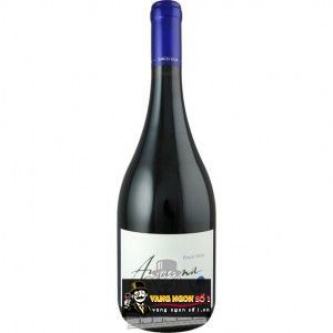 Vang Chile Amayna Pinot Noir