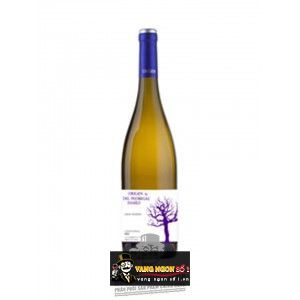 Vang chile Origen Gran Reserva Cabernet Sauvignon bn1