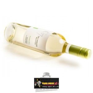Vang chile G7 Sauvignon Blanc bn1
