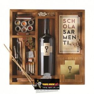 Vang ý Diciotto Primitivo Salento Schola Sarmenti bn1