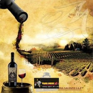 Vang ý M Merlot Salento Limited Edition bn1