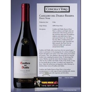 Vang Chile Casillero Del Diablo Pinot Noir bn1