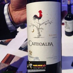 Vang Chile Cantoalba Malbec bn1