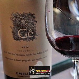 Vang chile GÊ Ensamblaje Emiliana bn1