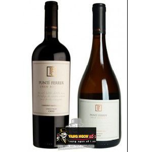 Vang Chile Punti Ferrer Gran Reserva Cabernet Sauvignon bn1