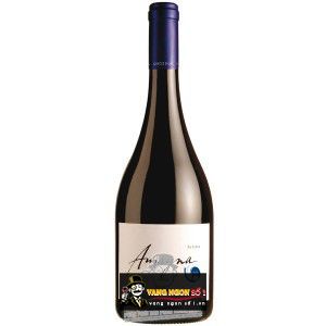 Vang Chile Amayna Syrah