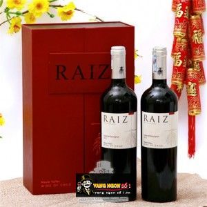 Vang Chile Raiz Cabernet Sauvignon