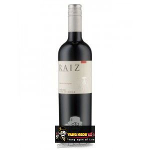 Vang Chile Raiz Cabernet Sauvignon bn1