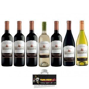 Vang Chile Ventisquero Reserva Merlot bn1