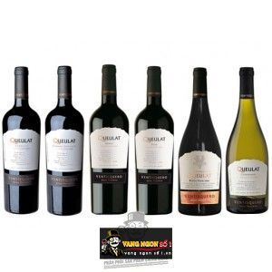 Vang Chile VENTISQUERO QUEULAT Gran Reserva Chardonnay bn1