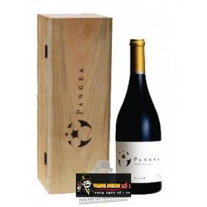 Vang Chile PANGEA SYRAH bn1