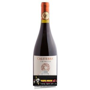 Vang Chile CALITERRA Tributo Syrah
