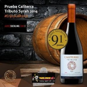Vang Chile CALITERRA Tributo Syrah bn1