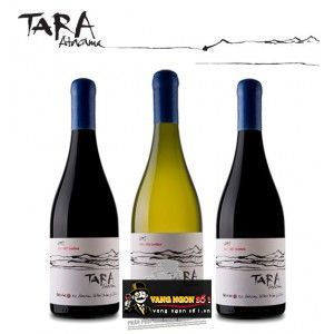 Vang Chile TARA Atacama Chardonnay bn1
