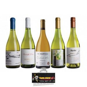 Vang Chile TARA Atacama Chardonnay bn2