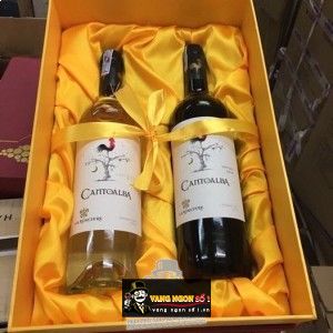 Vang Chile Cantoalba Carmenere bn2