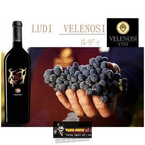 Rượu vang ý LUDI Velenosi bn2