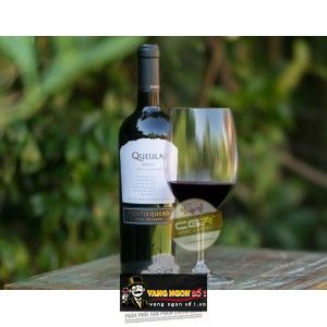 Vang Chile VENTISQUERO QUEULAT MERLOT bn1