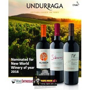 Vang Chile UNDURRAGA TH Cabernet Sauvignon bn2