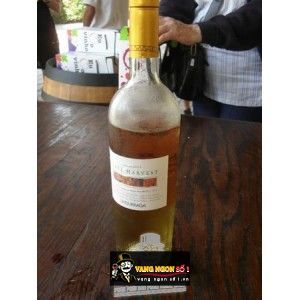 Vang ngọt Chile UNDURRAGA Late Harvest bn2