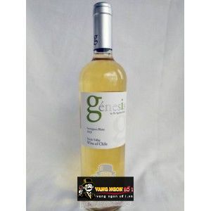 Vang Chile Génesis Sauvignon Blanc bn1
