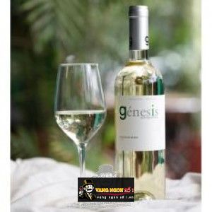 Vang Chile Génesis Sauvignon Blanc bn2