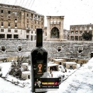 Vang Ý Nerio Nardo Riserva Rosso Schola Sarmenti bn1