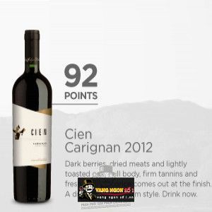 Vang Chile Cien Carignan bn1