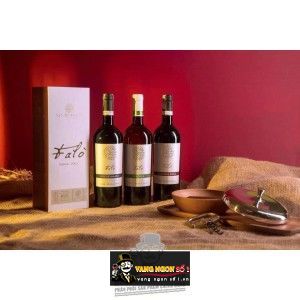 Rượu vang ý Falò Negroamaro bn2