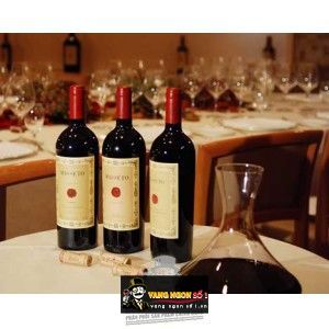 Vang ý MASSETO Merlot bn1