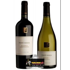 Vang Chile Punti Ferrer Chardonnay bn1