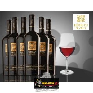 Vang Chile Espiritu De Chile Gran Reserva Cabernet Sauvignon bn1