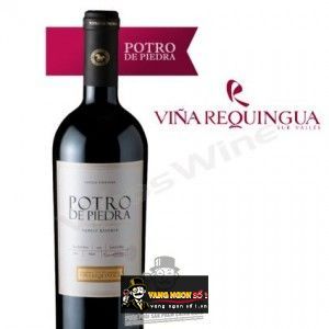 Vang Chile POTRO DE PIEDRA bn1