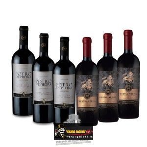 Vang Chile POTRO DE PIEDRA bn2