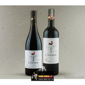 Vang Chile Cantoalba Cabernet Sauvignon bn2