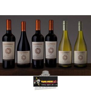 Vang Chile CALITERRA Tributo Cabernet Sauvignon bn1