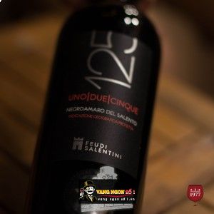 Vang ý 125 Negroamaro Del Salento bn2