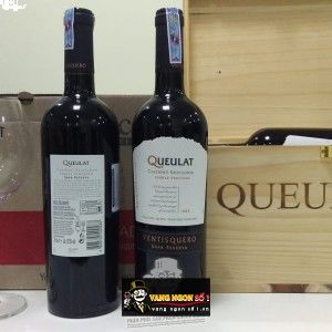 Vang Chile Ventisquero Queulat Carmenere bn2