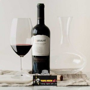 Vang Chile Ventisquero Queulat Carmenere bn3