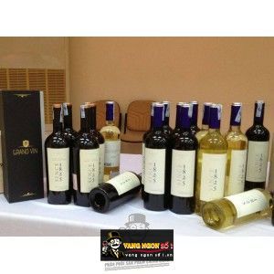 Vang Chile Since 1825 Cabernet Sauvignon bn1