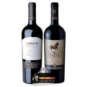 Vang Chile TORO DE PIEDRA bn3